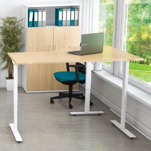 Freedom Lite Stand/Sit New Radial Desk