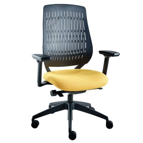 New Flex Back Buster Chair