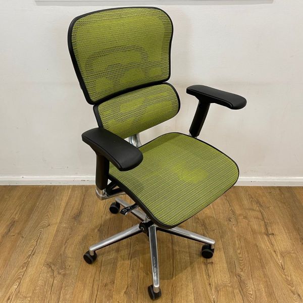 Ergohuman Green Mesh Chair