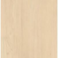 Sand Birch